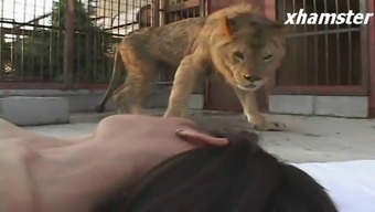 Japanese Girl Masturbation In Front Of The Lion
