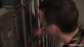 Hot Busty Shemale Fucking A Guy'S Butthole Hard In Prison