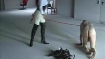 Slave On A Leash Crawling, Painful