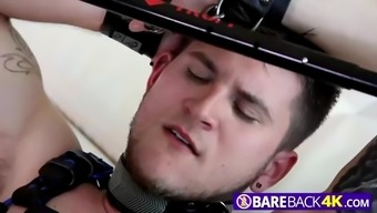 Kinky Guy In Bondage Got His Firm Penis And Ass Satisfied