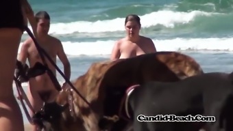 Tasty Ass Naked Nude Horny Milfs Voyeur Beach Spycam Hd