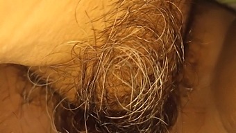 My Wifes Hairy Pussy And Clitoris