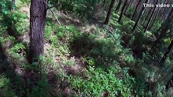 Pov Fucking In The Woods With Sweetie Lilu'S Big Ass